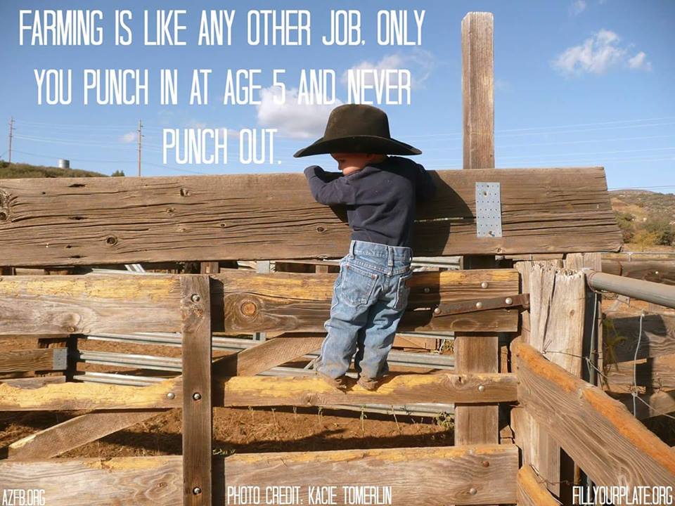 11218947_1177000255660668_7564633827535449187_n