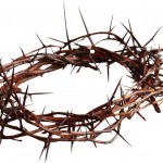 crown-of-thorns